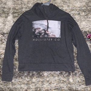 Hollister ☆ Women's Distressed L Gray Mountain Floral Scene Logo Hoodie